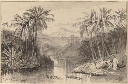 Avisavella, Ceylon — Edward Lear, 1884–1885