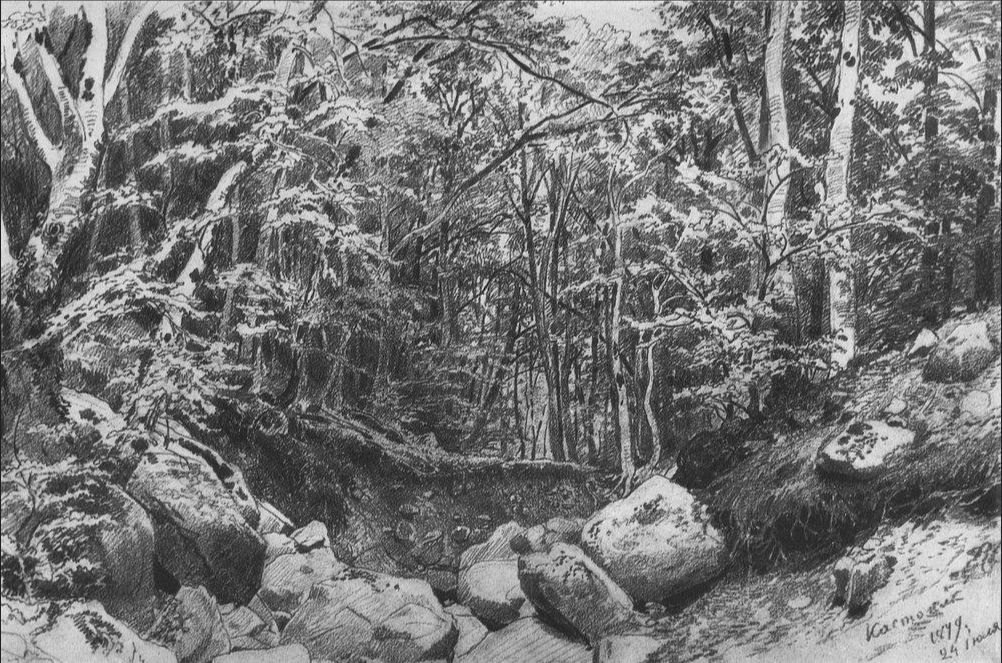 Auf dem Berg Kastel bei Aluschta von Ivan Shishkin, 1879, gezeichnet in Berg Kastel, Aluschta, Krim